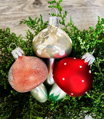 Mushroom Traditional - Image 2