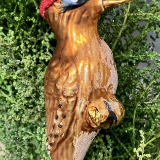 Red Cardinal