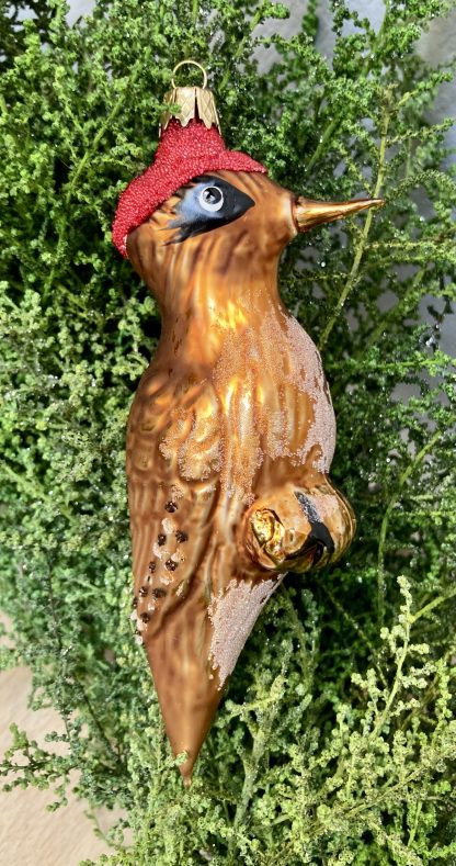 Red Cardinal