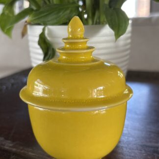 Caribbean Days Ceramic Pot S