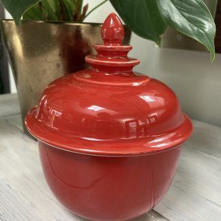 Mexican Tuberosa Ceramic Pot
