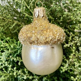 Acorn Champagne