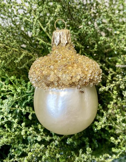 Acorn Champagne