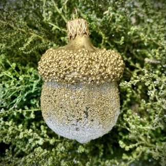 Acorn Sparkling