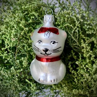 Kitty