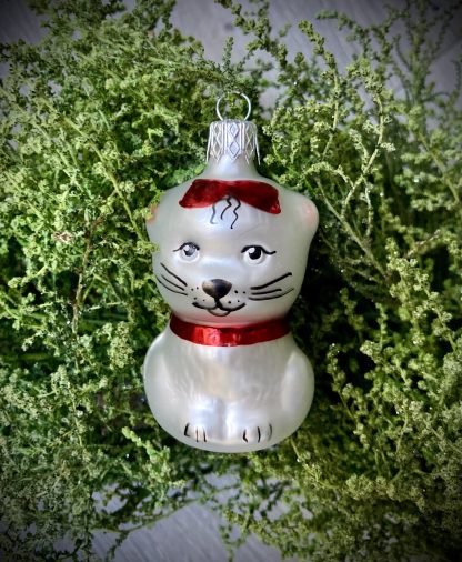 Kitty