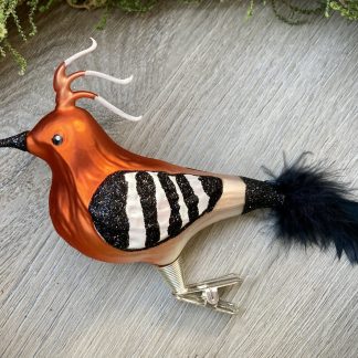 Hoopoe