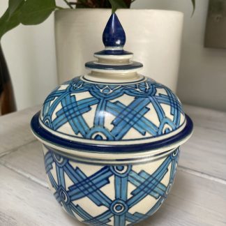 Karoo Agave Ceramic Pot