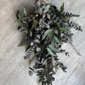 Pennygum and Spatella Teardrop