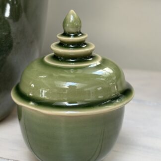 Singapore Summer Ceramic Pot S